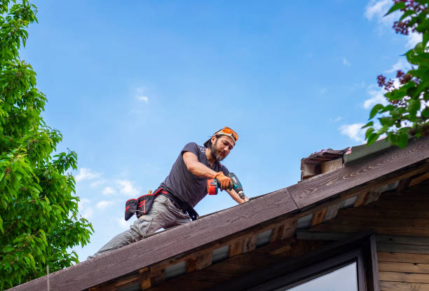 Best Roof Moss and Algae Removal  in Chadds Ford, PA